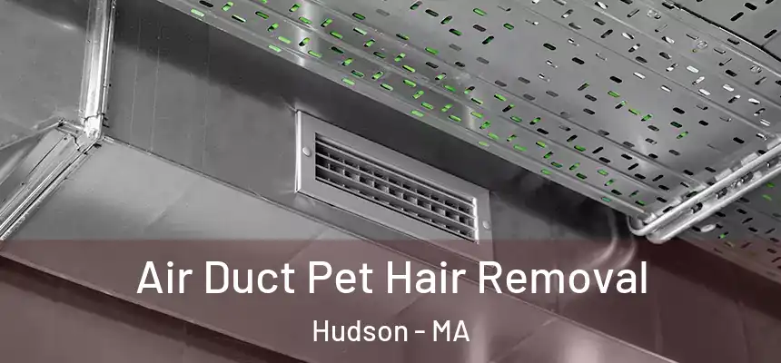  Air Duct Pet Hair Removal Hudson - MA