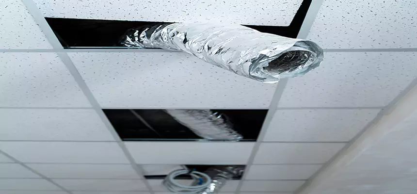 Affordable HVAC Sanitizing After Pest Removal in Hudson