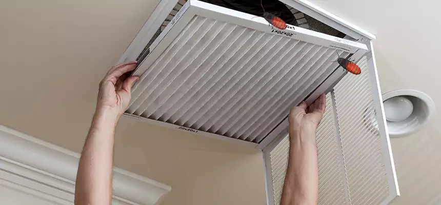 Our Insect Removal from Air Ducts Services in Hudson, MA