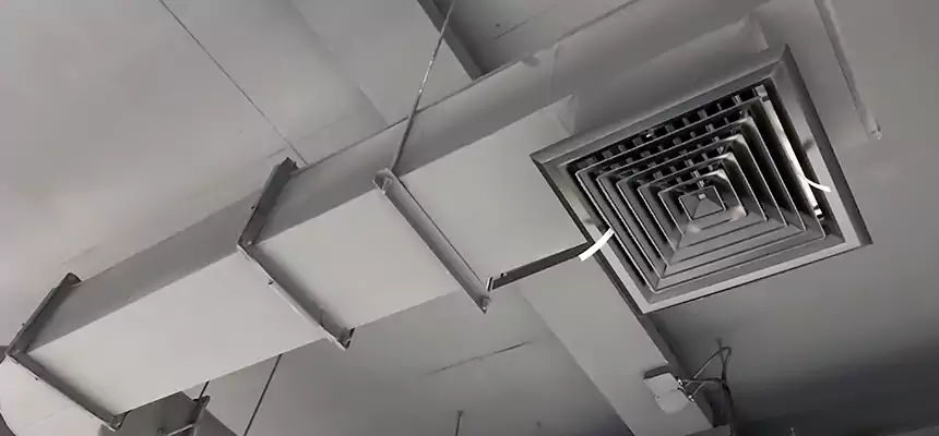 Our Pest Removal From Ducts Services in Hudson, MA