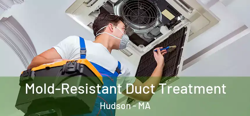  Mold-Resistant Duct Treatment Hudson - MA
