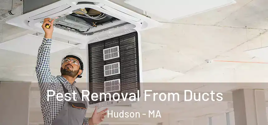  Pest Removal From Ducts Hudson - MA