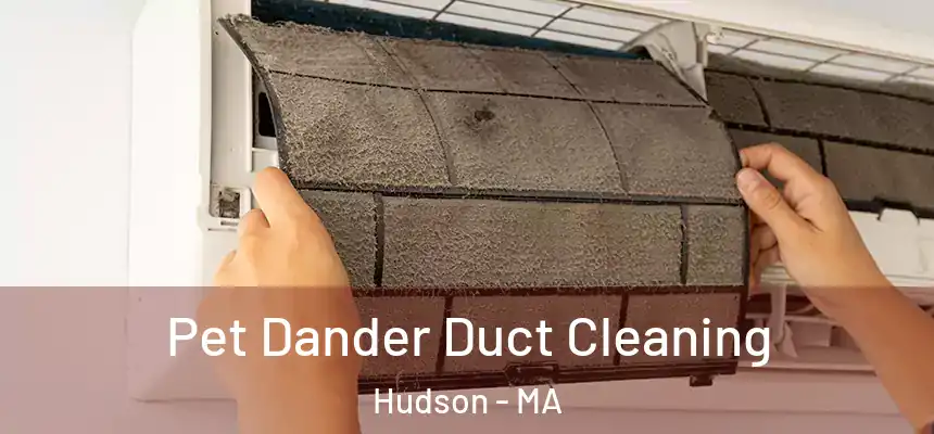 Pet Dander Duct Cleaning Hudson - MA