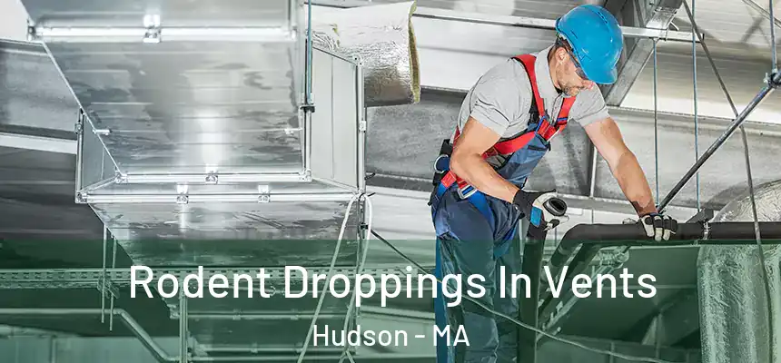  Rodent Droppings In Vents Hudson - MA