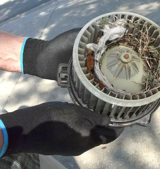 About Air Duct Mice Removal in Hudson, MA