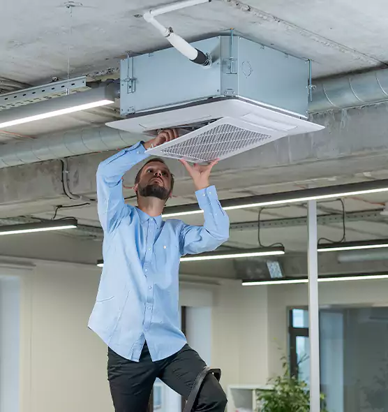 Advanced Rodent Droppings In Vents in Hudson, MA