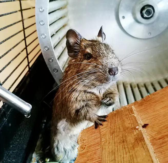 Why Homeowners & Businesses Trust Us Hudson, MA