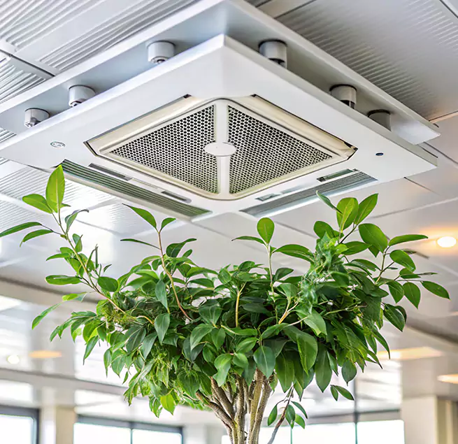 Why Homeowners & Businesses Trust Us in Hudson, MA?